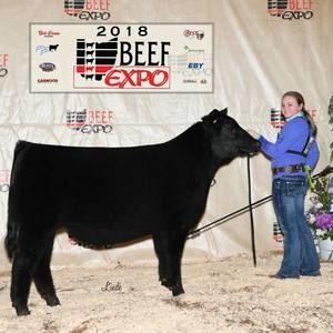 Meet your Posher, Erica